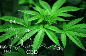 benefits of medical marijuana