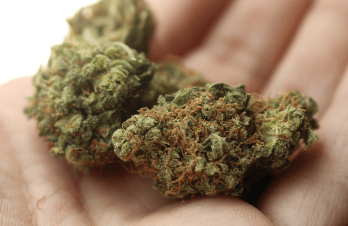 Marijuana