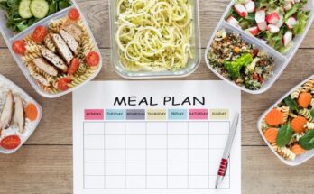 meal plan